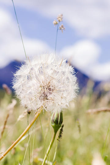 双线988服 战歌之鼓